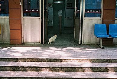 科幻生存游戏《翼星求生》Steam周末免费试玩