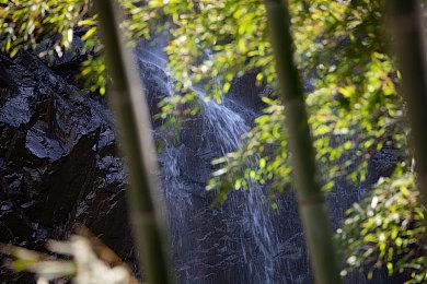 航海经营冒险游戏《风帆纪元》发售 原价88元